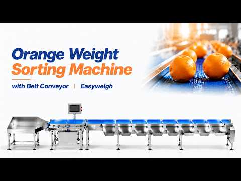 Orange Weight Sorting Machine with Belt Conveyor | Automatic Fruit Weight Grader | Easyweigh