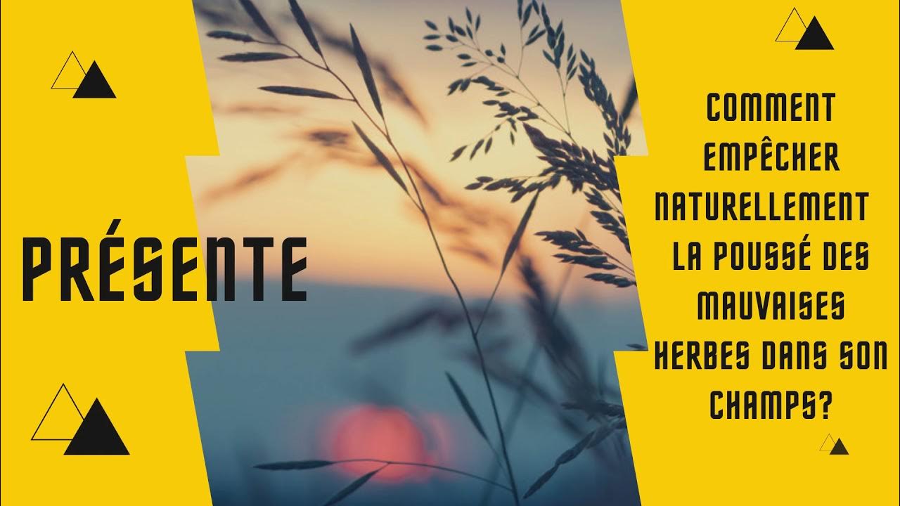 Comment empêcher les herbes de pousser dans un champs? YouTube