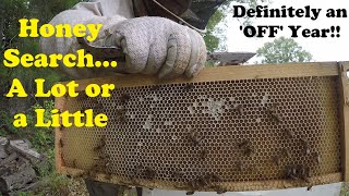 Checking Hives and Supers for Honey-An Update