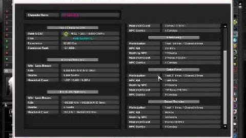 Combat Arms:Nexon Bug/Glitch?