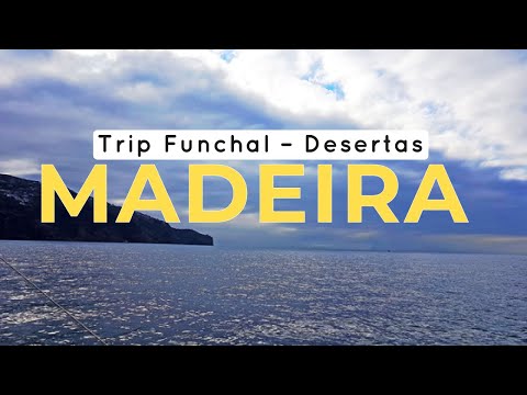 Madeira – Trip