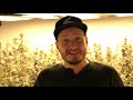 Ask An Expert  - Ideal Nutrient Lineup For Auto-flowers