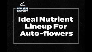 Ask An Expert   Ideal Nutrient Lineup For Autoflowers