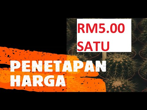 Pengajian Perniagaan STPM Semester 1: Pemasaran-Penetapan Harga