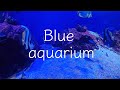 【涼しくなる癒し映像】 青い水槽と水中音・音楽あり ブルーアクアリウム Blue aquarium 5分間の癒し