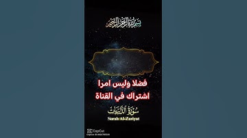 القرآن الكريم #اكسبلور #رمضانمبارك #دويتو #تيك_توك #صباح_الخير #لايك #ترند #حالات_واتس #duet