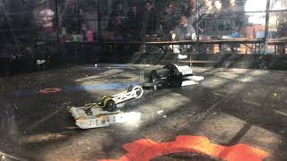 Sake Schtrovn Vs. Sweet Tango