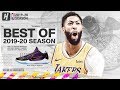 Anthony Davis BEST Lakers Highlights from 2019-20 NBA Season! MVP CASE! (PART 1)