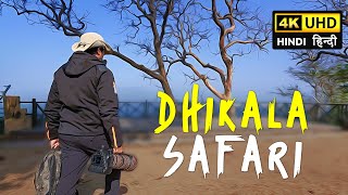 Dhikala Safari, Jim Corbett - 4K Video