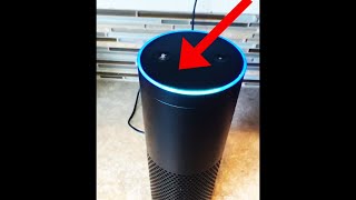 Alexa Threatened Me After Asking About The Cia shorts