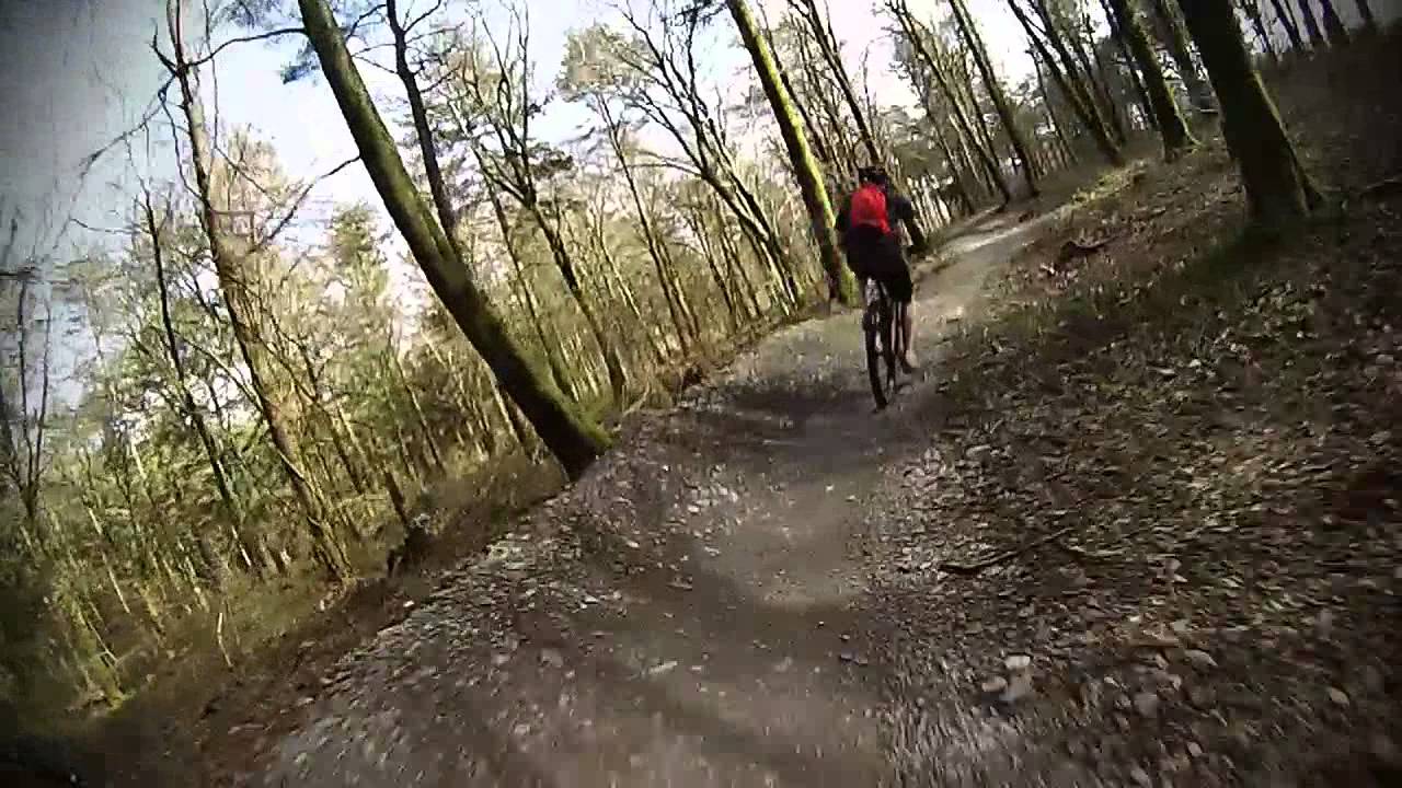 Lanhydrock - HartsTrail