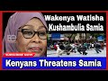 Samia Suluhu Hoi,Maandamano yatangazwa Tanzania Na wakenya wakimtaka kumuachilia Mateka Niffer binti