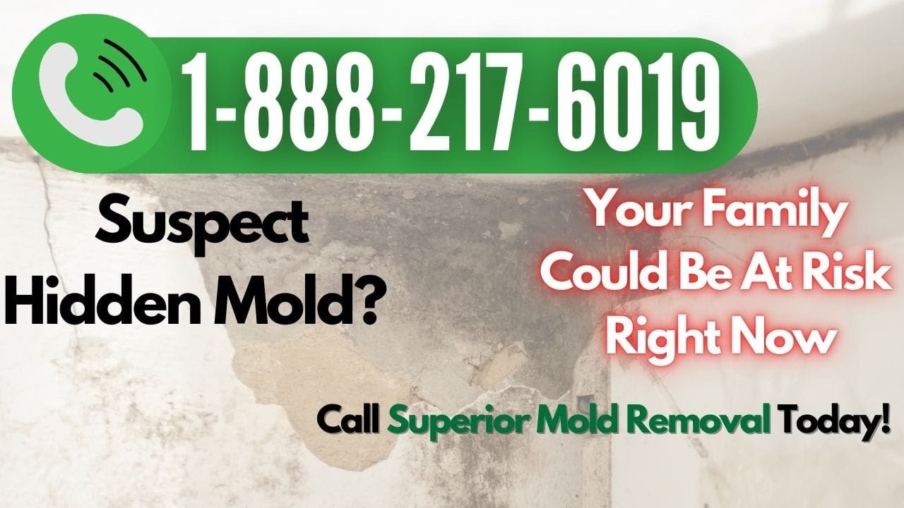 Best Way To Clean Mold Off Bathroom Ceiling → Call 1-888-217-6019