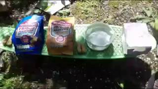 Snacking with keeves in the trees 13. Fridge Raiders