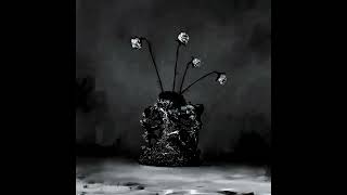 C2 - Misplaced in time(super slowed + reverb) The Caretaker