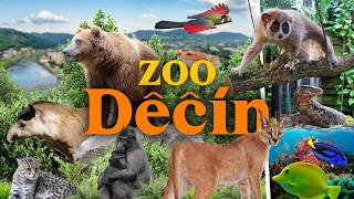 A Hidden Gem in the Czech Republic? | Děčín Zoo Review