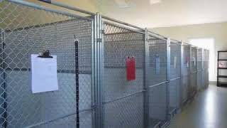 Hickory Veterinary Hospital Photo Tour