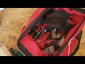Milwaukee M12 Brushed Drill/Driver Combo Kit... Should I Buy? Milwaukee M12 Brushed Drill/Driver Combo Kit... Should I Buy?