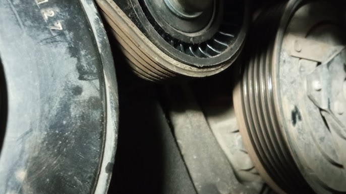 Санкт-Петербургте трансвеститтердің жиналатын жері Джейкобтың мүшесі Виргин Белла