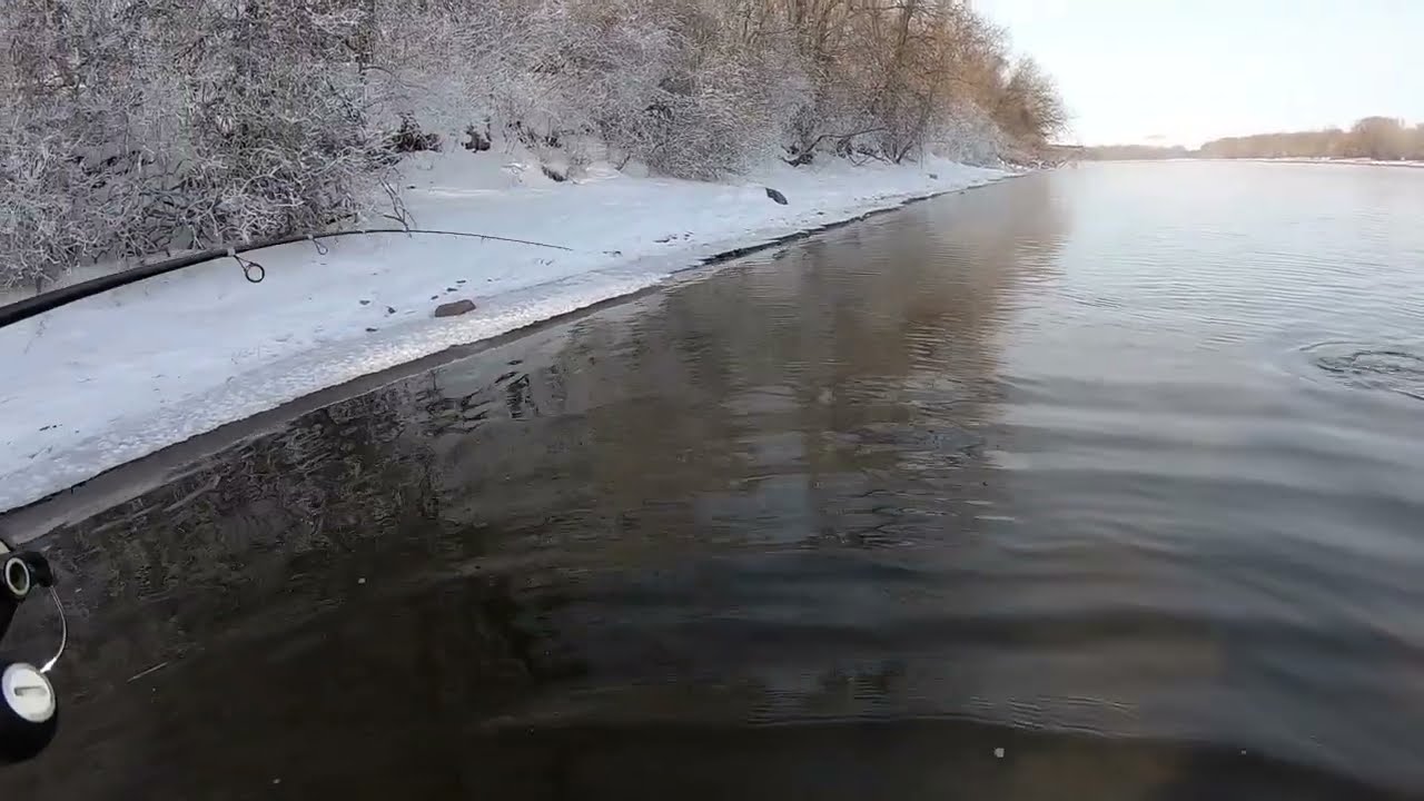 UNEXPECTED CATCH | Bigmouth Buffalo