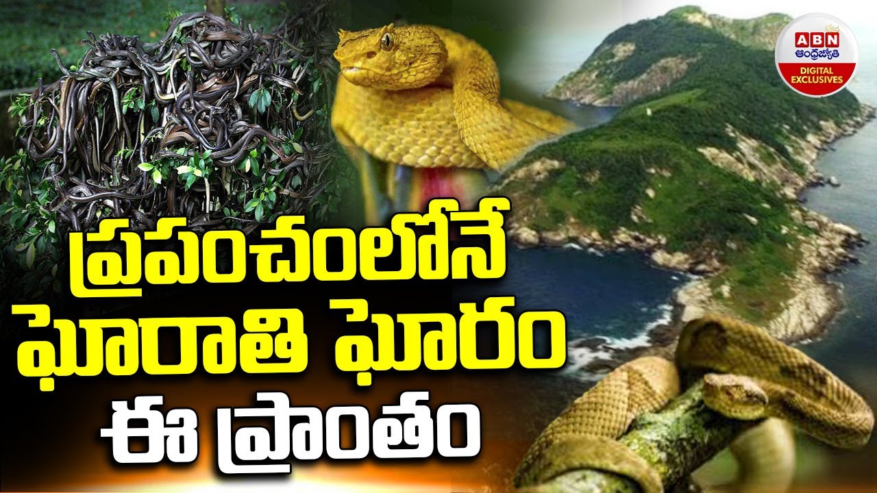 ప్రపంచంలోనే ఘోరాతి ఘోరం  ఈ ప్రాంతం..! Unknown Intresting Facts About Brazil's Snake Island | ABN