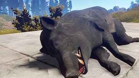 rust rust boar sleep animations