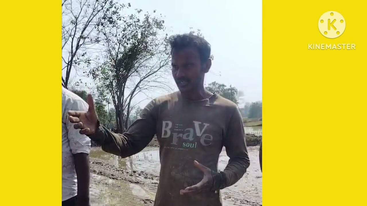 TAFE Rice transplanter planting Demo🌾