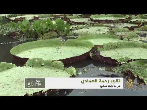 هذا الصباح البانتنال جنة على الأرض مهددة بالزوال 