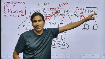 Wat is VTP-snoeien met realtime voorbeelden en labs | Alles over VTP-snoeien #vtp #snoeien