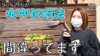 水やりの方法・ホース・花壇の水やり【おうちでガーデニング】開花園チャンネル