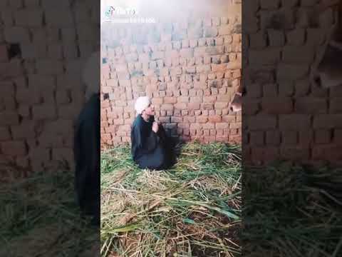 ده لي كل وحد مجوز