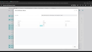 Business Central short video: Edit the attributes of multiple items at the same time - Customization