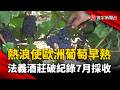 熱浪改寫釀酒時程！歐洲葡萄「7月就採收」創歷史紀錄｜#寰宇新聞 @globalnewstw