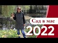 Что посадить, чтобы весной было ОЧЕНЬ КРАСИВО? Сад в мае 2022!