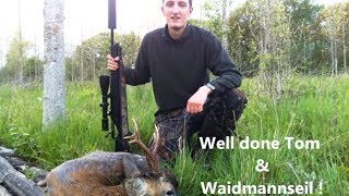 English Roebuck stalking   Up close & personal