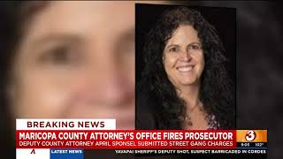 MCAO fires top prosecutor who submitted street gang charges against protesters