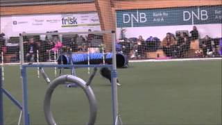 Back 20151017 Jumping 3 Moelv