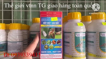Giải pháp rệp sáp sâu đục trái siêu mát lưu dẫn dài# quản lí sâu rệp tối ưu# cây sầu riêng#