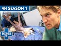 4 hours of full episodes  bondi vet complete season 1   bondi vet