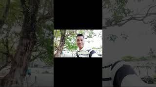 In Thaiiiiiiiiiiiiiiiiilaaaaaaannnddddd