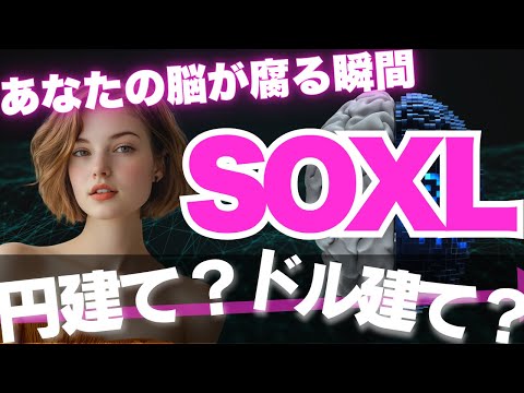 【危険】SOXLの買い方を質問するという単なる情報中毒 ...