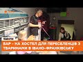 В Івано-Франківську родина рестораторів перетворила БАР на хостел для переселенців з тваринами