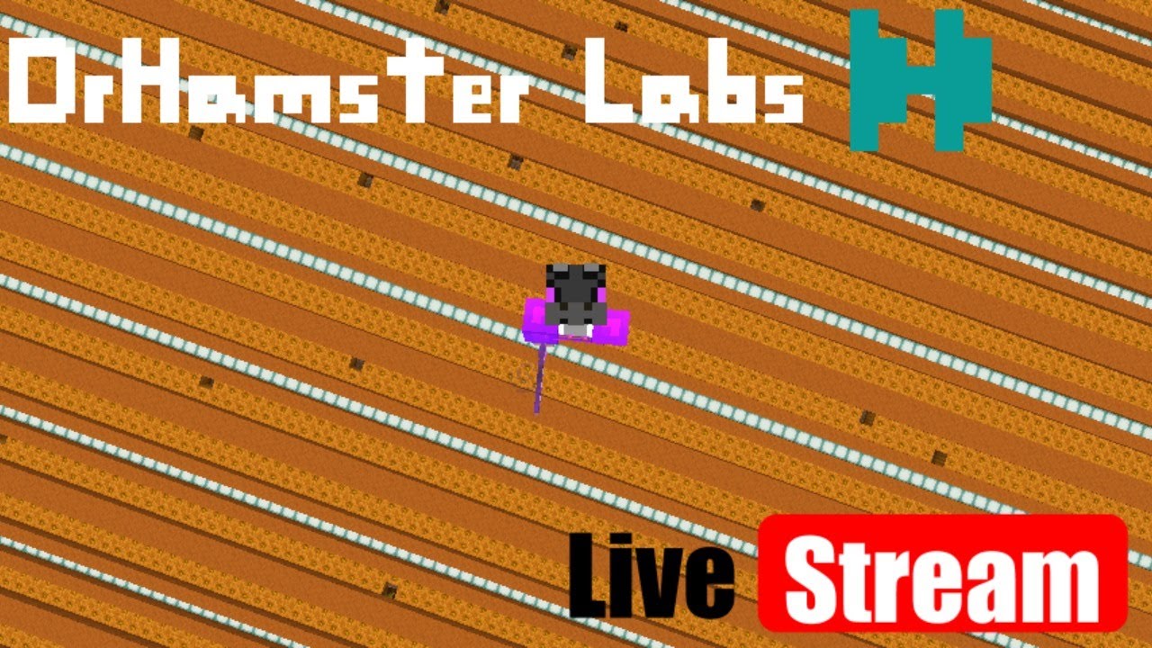 making-a-sugarcane-farm-hypixel-skyblock-live-stream-youtube