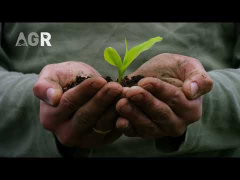 Parnaso crea el nuevo spot de ARG Global