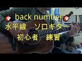🎸 back number 水平線 バックナンバー たまに弾いてます ソロギター 初心者  Guitar cover  musics song