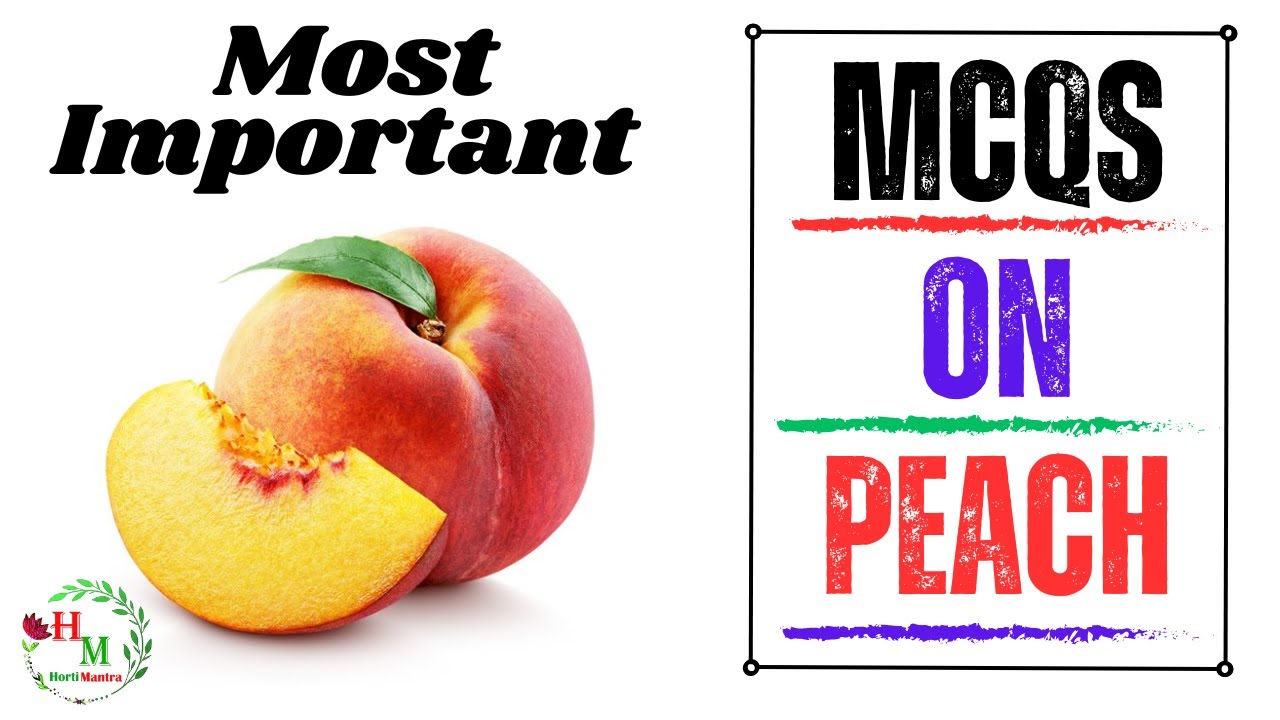 MCQS on Peach II Peach MCQ II MCQS on Fruits