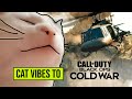 Cat Vibes To Black Ops Cold War Multiplayer theme