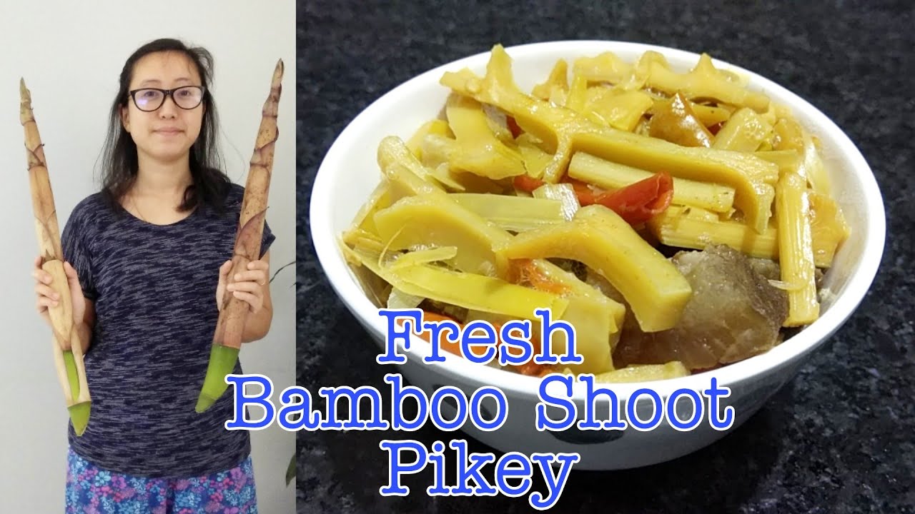BAMBOO SHOOT PIKEY BAMBOO SHOOT RECIPE FRESH BAMBOO SHOOT HOW TO 
