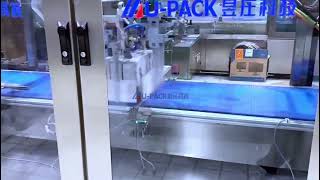 Automatic Tetra Brik Packaging Line: Secondary Packaging & Case Packing Solution