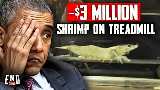 The Dumbest Things the Government Spent Your Money On